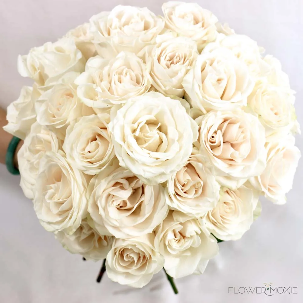 Creamy White Vendela Rose