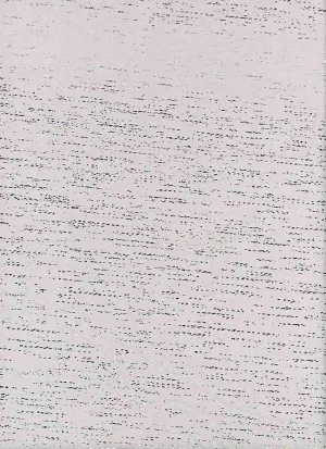 SUPER SOFT POLYESTER SPANDEX DBP / DTY BRUSHED CANVAS WITH FOIL EFFECT [NFB210107-009X]
